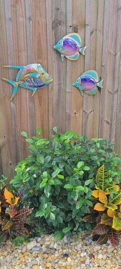 Paradise Home Away From Home Pensacola Esterno foto